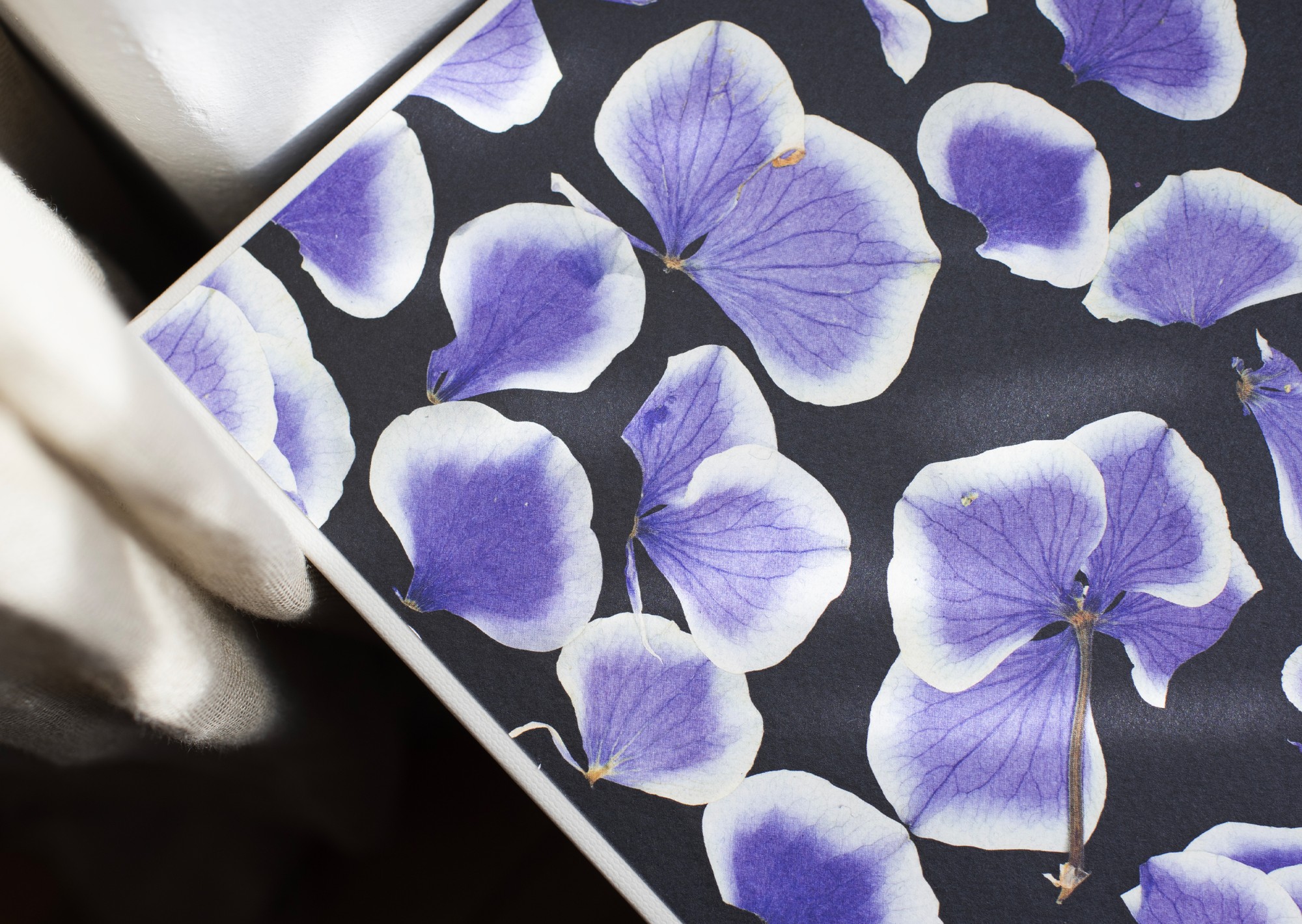 I Don’t Know Where Paradise Is 3