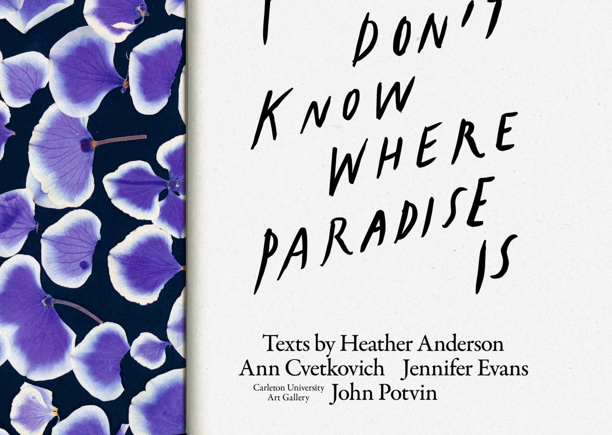 I Don’t Know Where Paradise Is 5